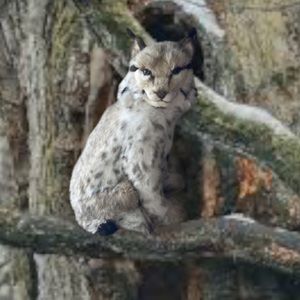 Avanti D’oro Italian 1984 Life-Sized Plush Lynx